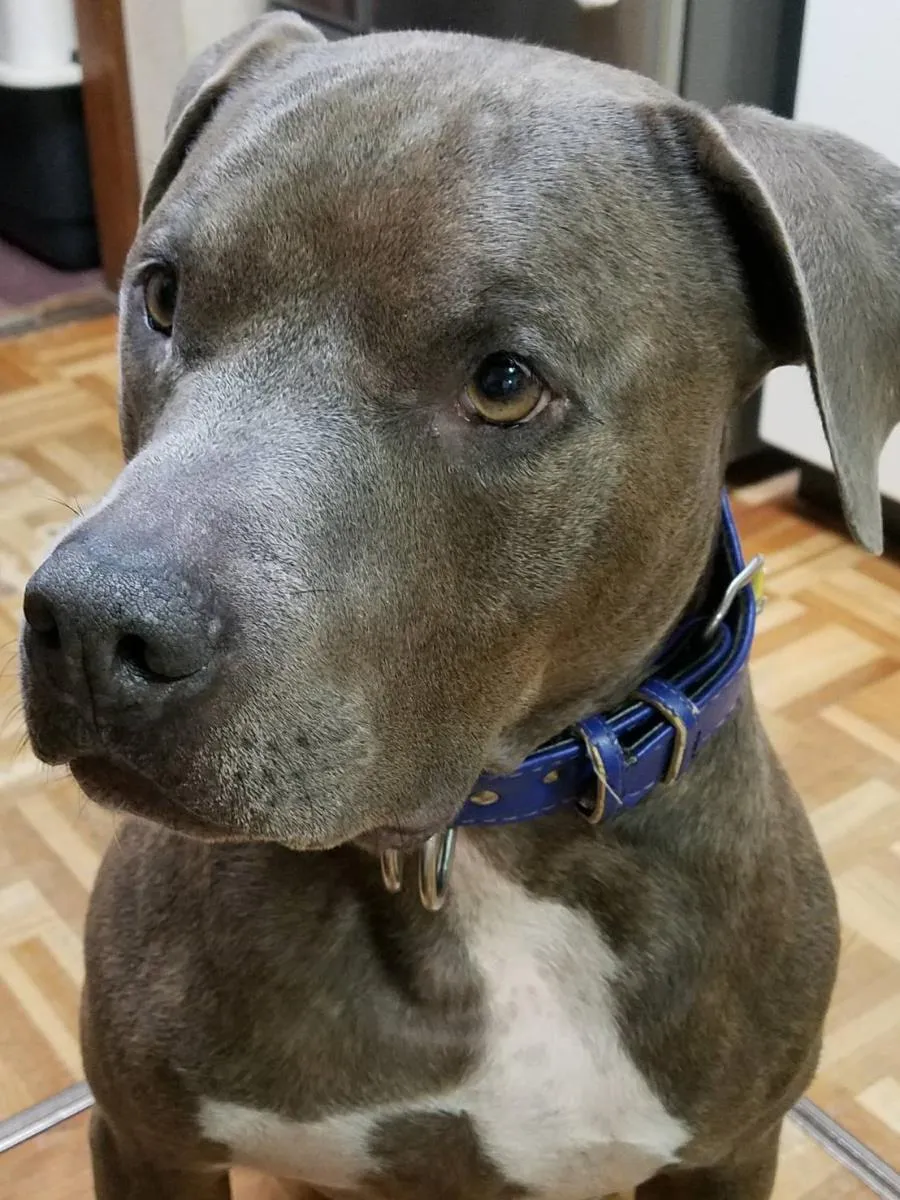 本年度も宜しくお願い致します