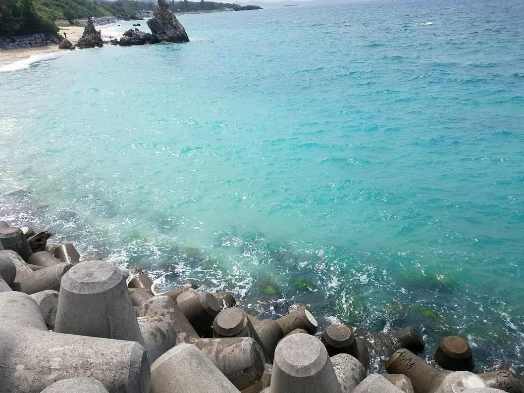 今年を振り返って！！